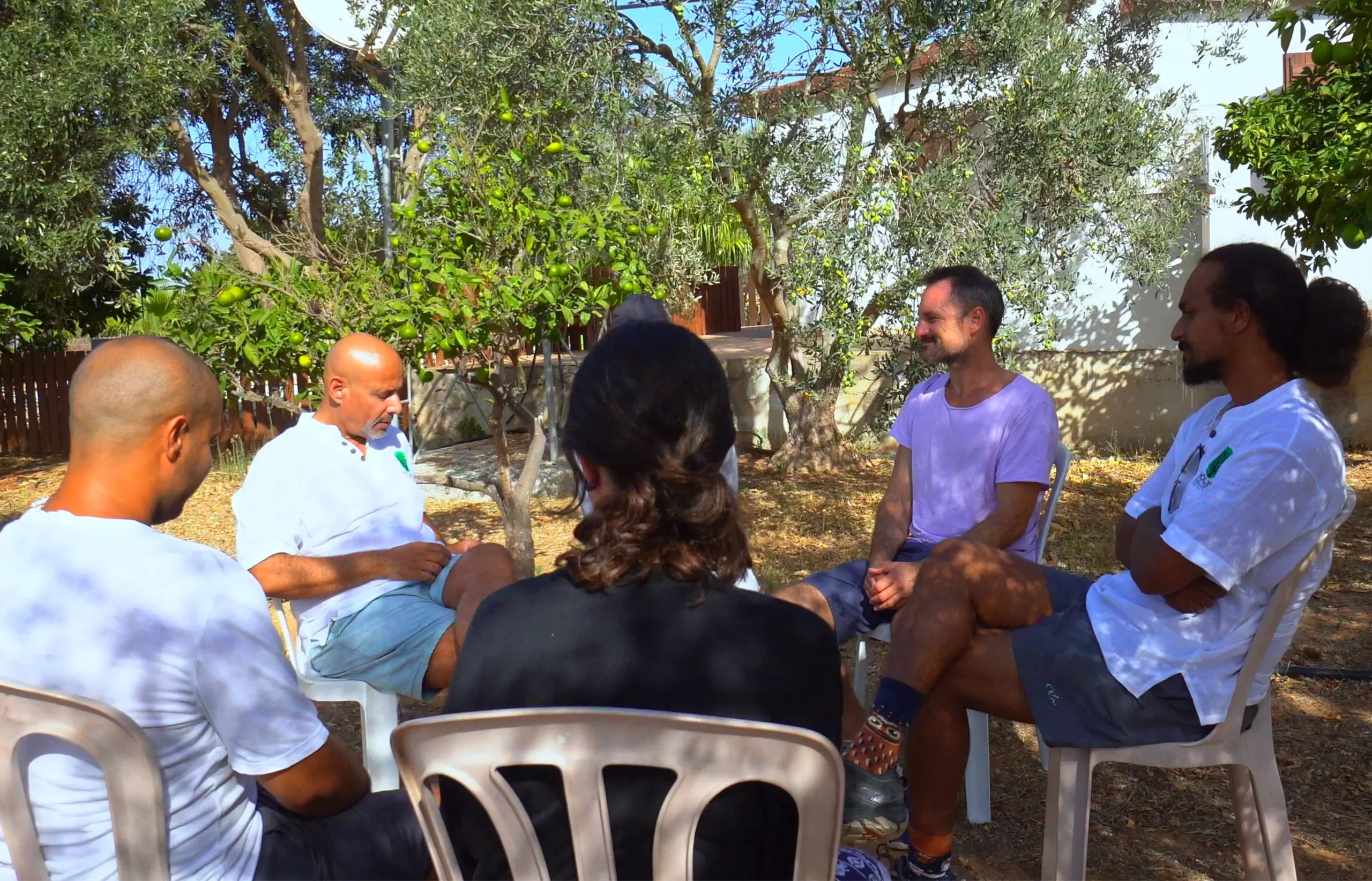 Outdoor group therapy session under olive trees at Holina Village