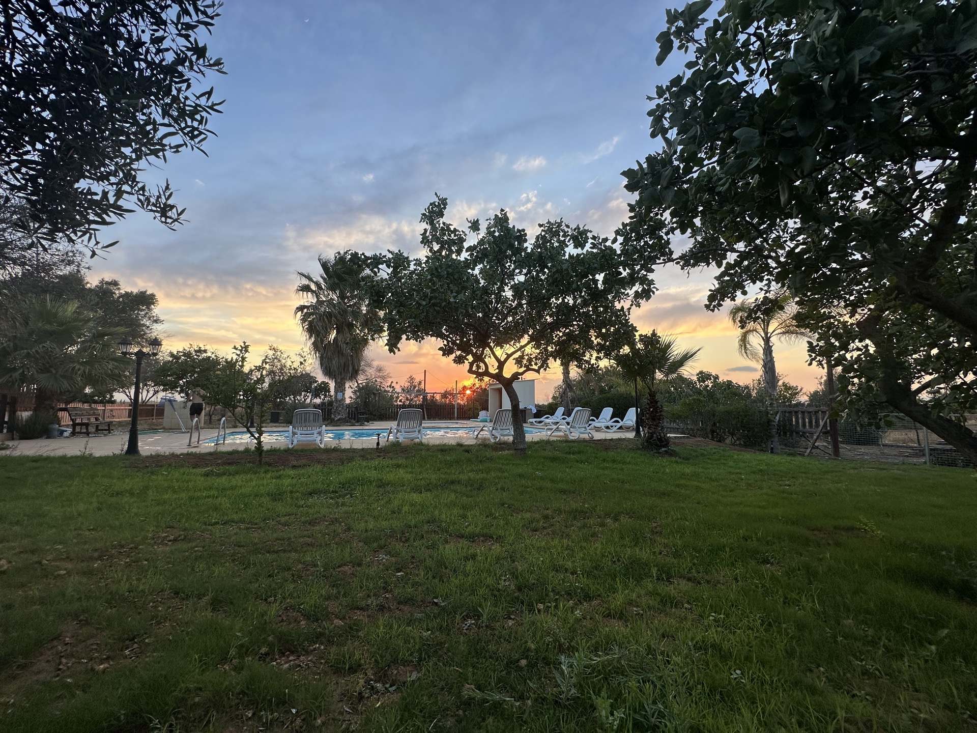 Orchard at golden sunset, Holina Village Cyprus