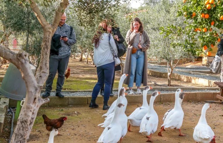 holina_cyprus_oppening_35