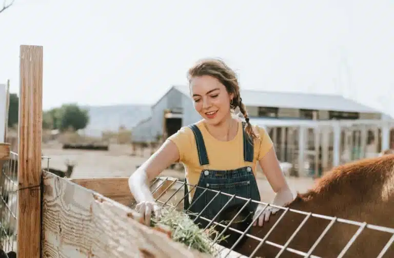 Feature Highlight: Therapeutic Farm Life at Holina Village