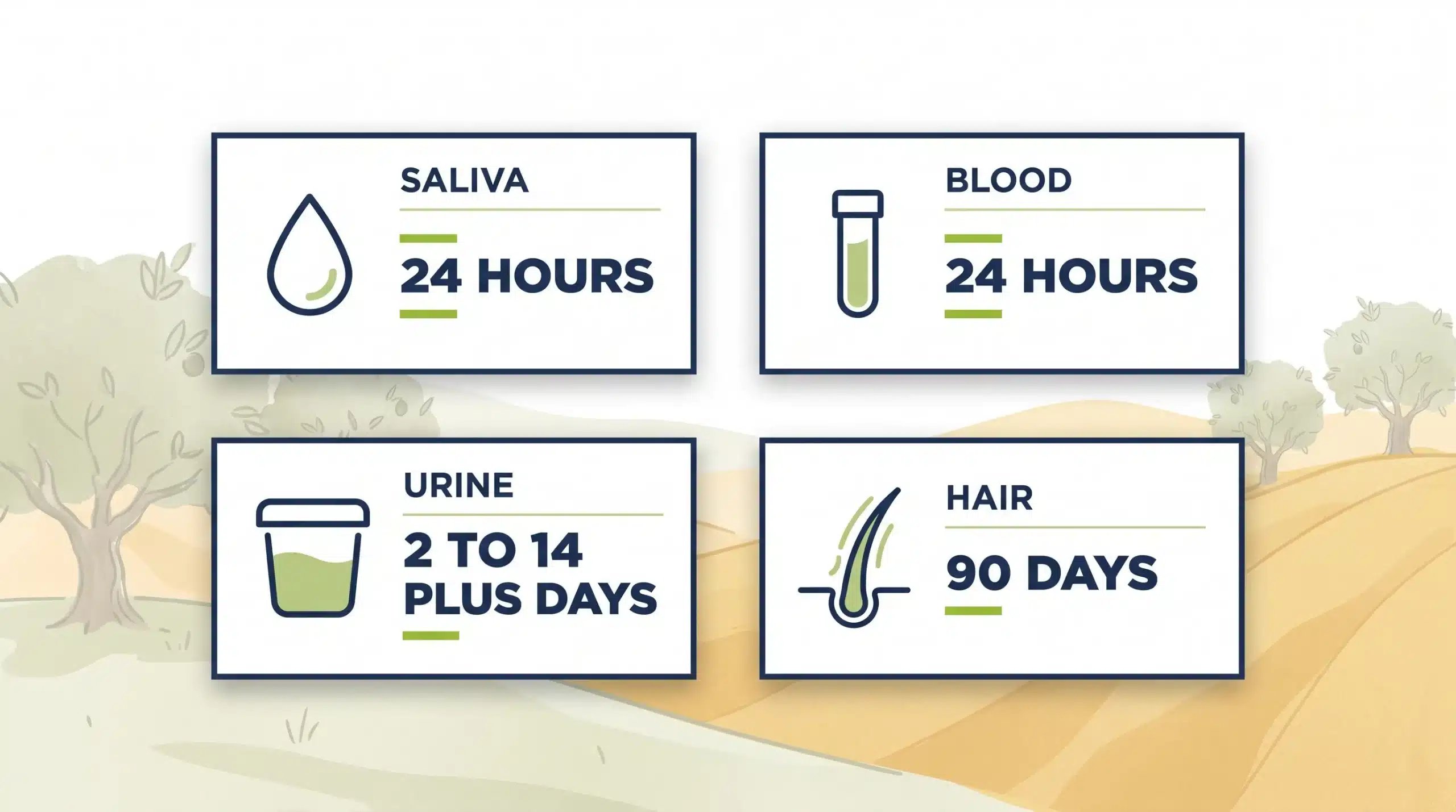 Timeline illustration showing the difference between ketamine's psychoactive effects and its detection window